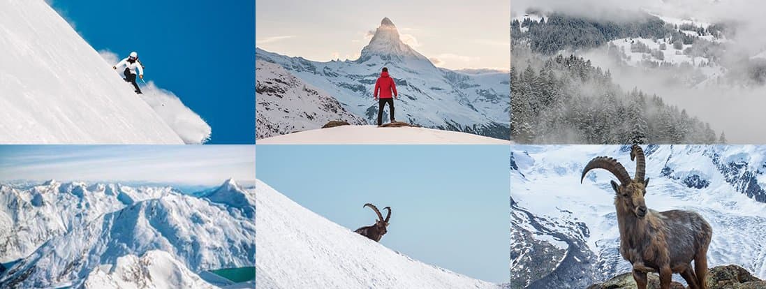 Capra Saas Fee — moodboard, 4